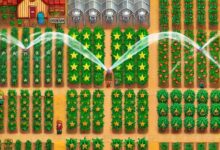 Stardew Valley Farm Layout