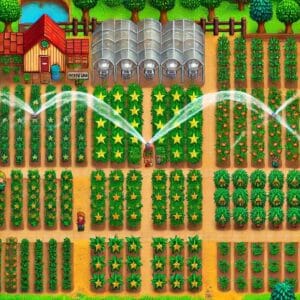 Stardew Valley Farm Layout