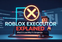 Roblox Executor Explained