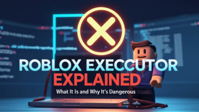 Roblox Executor Explained