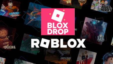 Bloxdrop Roblox